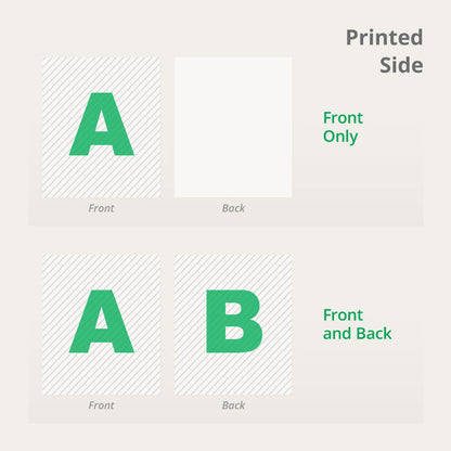 Brochures Trifold  100 Gloss Text